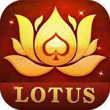 all rummy mate 777 download